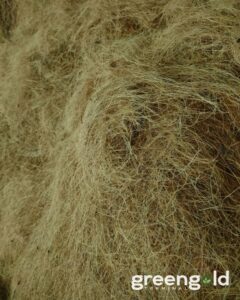 461314322 894732359213151 1618806601025941278 n Bamboo India