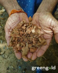 461320841 532360875970440 4081087857473065866 n Bamboo India