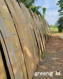 462279517 813237587552305 9112082593262773281 n Bamboo India