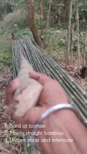 468688067 17949140345895771 190735282327331585 n Bamboo India