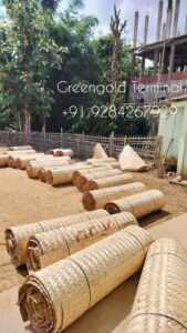 503000640 732940462411783 7129997811279157486 n Bamboo India