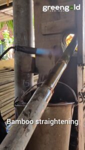 582453782 17989145801895771 6648990778073798546 n Bamboo India