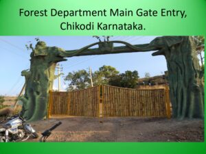 Sayali Bamboo o1 page 0011 Bamboo India