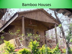 Sayali Bamboo o1 page 0015 Bamboo India