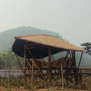 482493095 17955540908868687 5865938441299828450 n Bamboo India