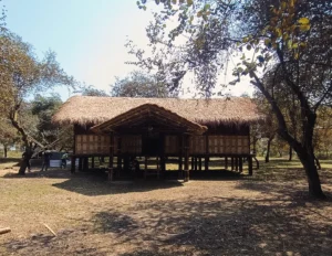 482533728 17955540194868687 4980952440585976570 n Bamboo India