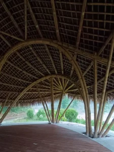 565187599 17979620531868687 3700115761619139505 n Bamboo India