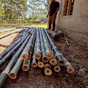 568696680 17980226147868687 4500127745435520700 n Bamboo India