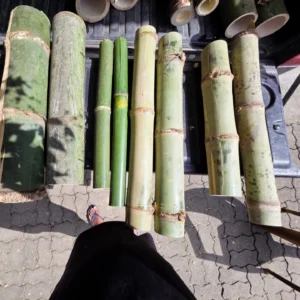 571020291 17980605878868687 5441889339791950795 n Bamboo India