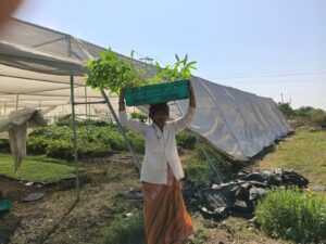 WhatsApp Image 2025 12 22 at 11.37.15 1 Bamboo India