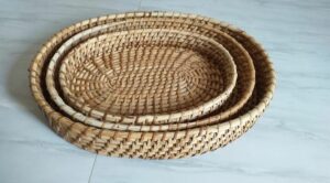 1728893501 670cd23dd5298 Bamboo India