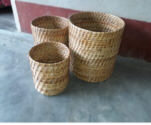1728898599 670ce627b1e3f Bamboo India