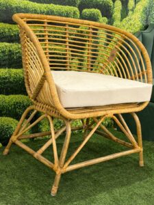 1736749423 6784b16f5e765 Bamboo India