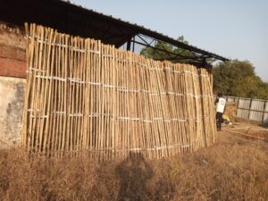 WhatsApp Image 2026 01 21 at 09.04.18 1 Bamboo India