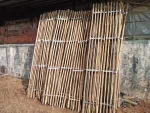 WhatsApp Image 2026 01 21 at 09.04.18 2 Bamboo India