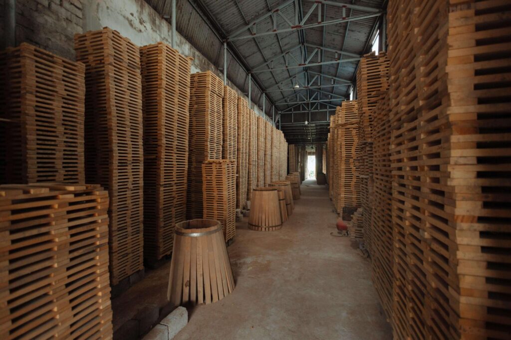 pexels hson 32357251 1 Bamboo India