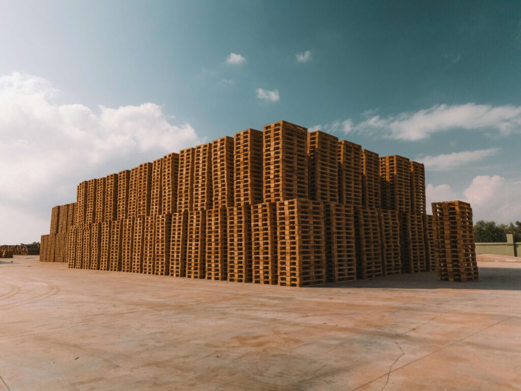 pexels i brahim gunes 1663957478 29982234 1 Bamboo India