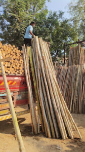 unnamed 1 Bamboo India