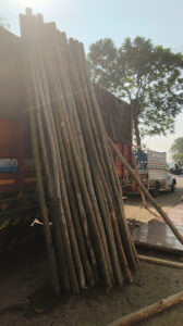 unnamed 3 Bamboo India