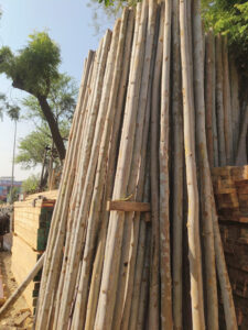 unnamed 5 Bamboo India